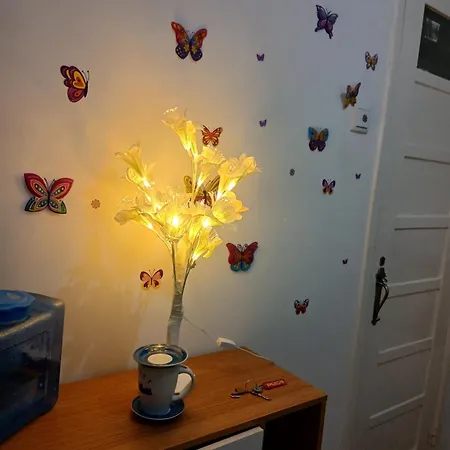 Apartamento Rua Forno Do Tijolo